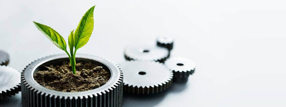 Picture-Green-Business.jpg